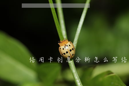 信用卡利息分析怎么写（信用卡利息分析）
