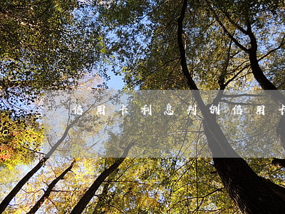 信用卡利息判例(信用卡 消費(fèi)利息)