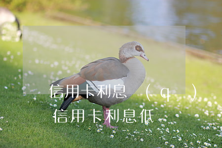 信用卡利息區(qū)別-銀行利息低還是信用卡利息低