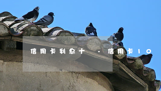 信用卡利息十萬-信用卡10萬利息多少