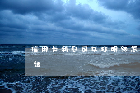 信用卡利息可以打明细(怎么查信用卡利息明细)