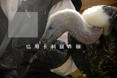 信用卡利息咋辦