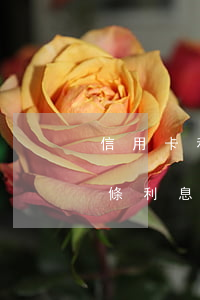 信用卡利息和京東白條(信用卡利息和京東白條利息區(qū)別)