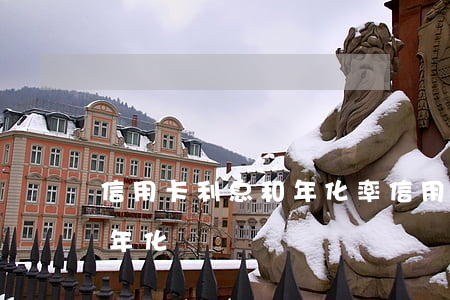 信用卡利息和年化率(信用卡 費(fèi)率 年化)