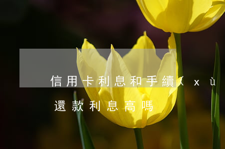 信用卡利息和手續(xù)費-信用卡最低還款利息高嗎
