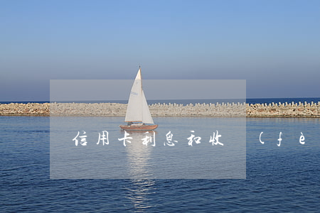 信用卡利息和收費(fèi)情況