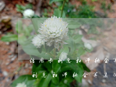 信用卡利息和滞纳金算法律金额吗-信用卡利息和滞纳金算法律金额吗怎么算