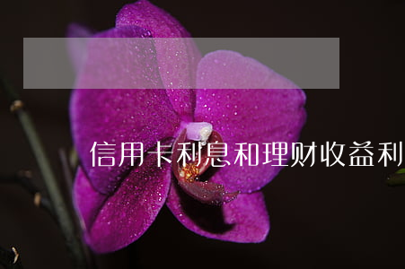 信用卡利息和理财收益(利息与理财)