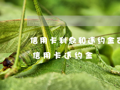 信用卡利息和违约金可以减免吗(2021年信用卡违约金)