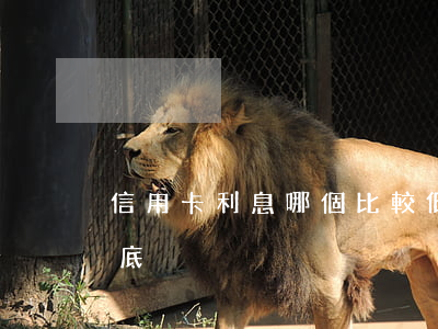 信用卡利息哪個比較低 辦信用卡那家利息最底