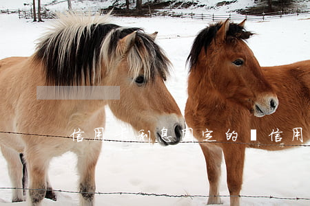 信用卡利息固定的嗎（信用卡利息固定的嗎）