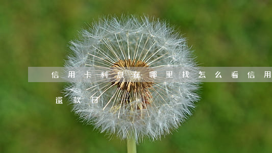 信用卡利息在哪里找(怎么看信用卡的利息和還款日)