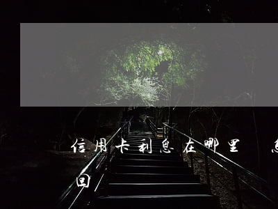 信用卡利息在哪里給(怎么把信用卡的利息要回來?)