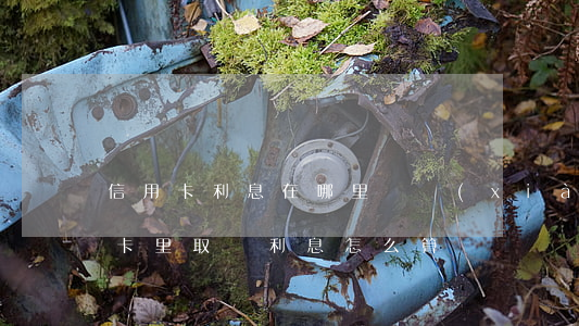 信用卡利息在哪里體現(xiàn)(從信用卡里取錢利息怎么算)