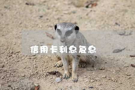 信用卡利息复息