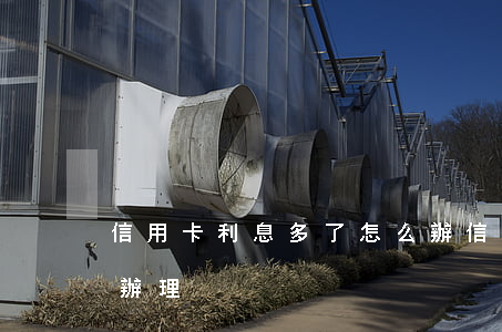 信用卡利息多了怎么辦(信用卡利息多了怎么辦理)
