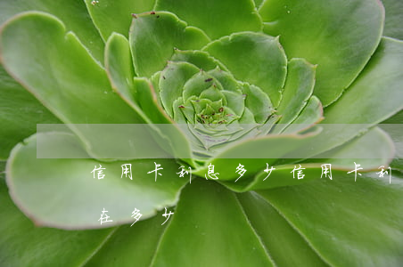 信用卡利息多少?（信用卡利息現(xiàn)在多少）