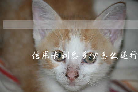 信用卡利息多少怎么还(行用卡利息怎么算)