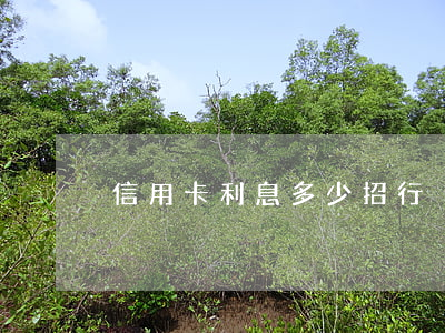 信用卡利息多少招行