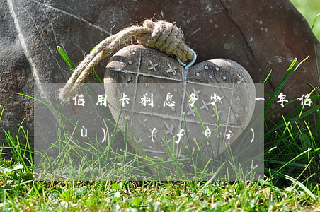 信用卡利息多少錢一年(信用卡 利息 手續(xù)費(fèi))