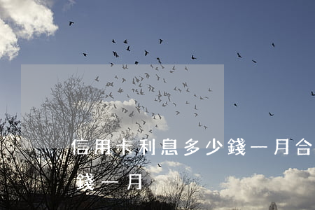 信用卡利息多少錢一月合適（信用卡利息多少錢一月）