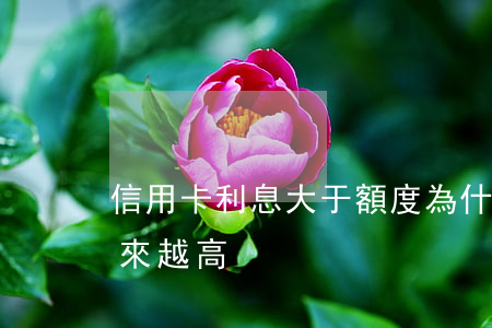 信用卡利息大于額度(為什么信用卡的利息越來越高)