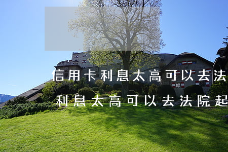 信用卡利息太高可以去法院起訴嗎-信用卡利息太高可以去法院起訴嗎