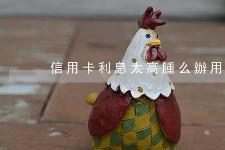 信用卡利息太高腫么辦(用信用卡利息是多少)
