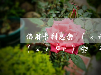 信用卡利息套現(xiàn)(用信用卡套現(xiàn)金會有什么后果)