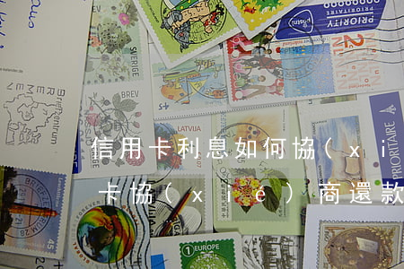 信用卡利息如何協(xié)商(怎樣跟信用卡協(xié)商還款)