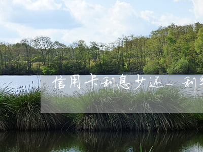 信用卡利息少还-利率低信用卡