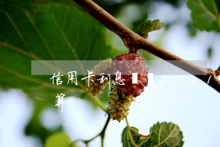 信用卡利息幾種(2021年信用卡利息怎么算)