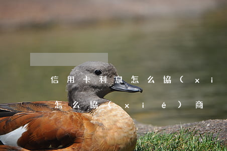 信用卡利息怎么協(xié)商-欠信用卡怎么協(xié)商