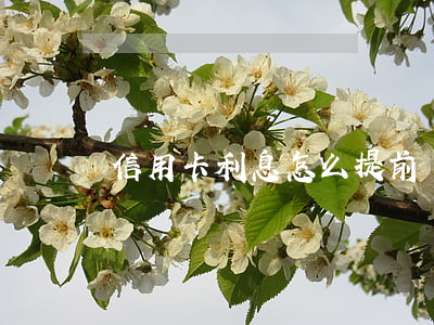 信用卡利息怎么提前還款