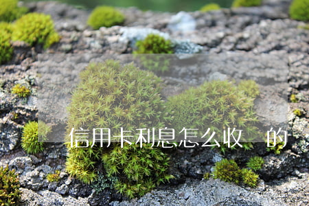 信用卡利息怎么收費的