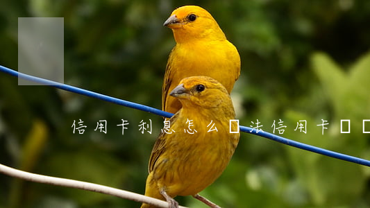 信用卡利息怎么漲法 信用卡 賬單 利息
