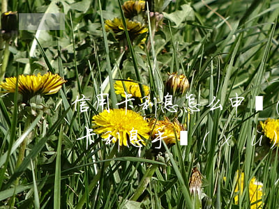 信用卡利息怎么申請(qǐng)折扣(信用卡 利息 手續(xù)費(fèi))