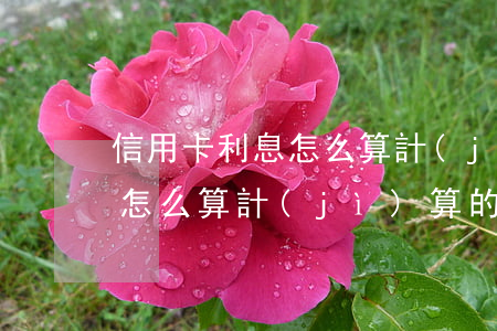信用卡利息怎么算計(jì)算(信用卡利息怎么算計(jì)算的)