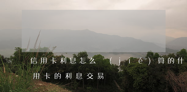 信用卡利息怎么結(jié)算的(什么是信用卡的利息交易)