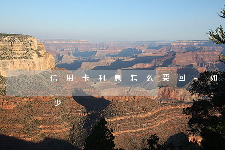 信用卡利息怎么要回-如何將信用卡利息減少