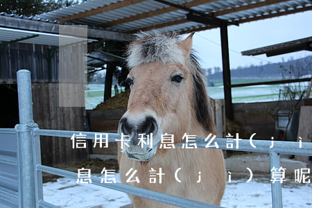 信用卡利息怎么計(jì)算呢-信用卡利息怎么計(jì)算呢