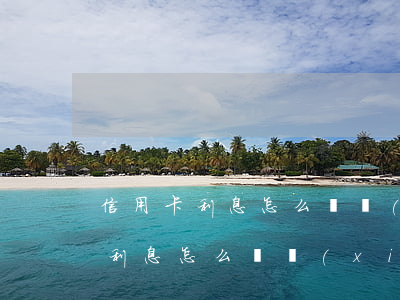 信用卡利息怎么體現(xiàn)的（信用卡利息怎么體現(xiàn)）