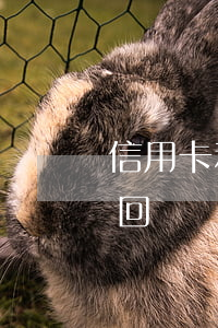 信用卡利息怎樣不漲(怎么把信用卡的利息要回來?)