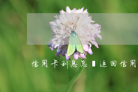 信用卡利息怎樣追回（信用卡利息怎樣追回）