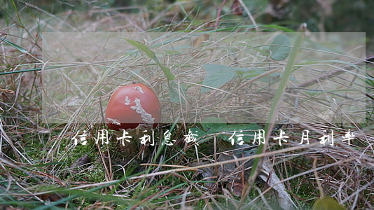信用卡利息截圖 信用卡 月利率