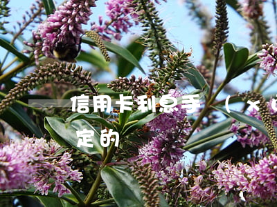 信用卡 利息 手續(xù)費（信用卡利息是固定的嗎）