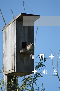 信用卡利息找回業(yè)務(wù)(信用卡利息找回業(yè)務(wù)怎么辦)