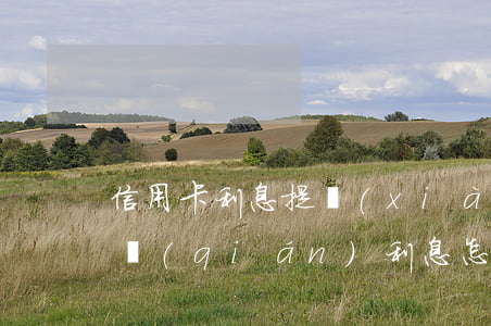 信用卡利息提現(xiàn)(從信用卡里取錢(qián)利息怎么算)