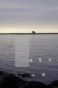 信用卡利息支出科目 信用卡利息支出科目怎么填