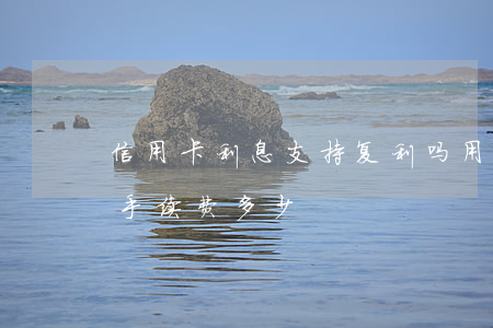信用卡利息支持复利吗(用信用卡有利息吗和手续费多少)